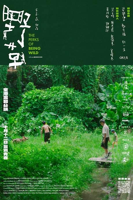 The Perks of Being Wild